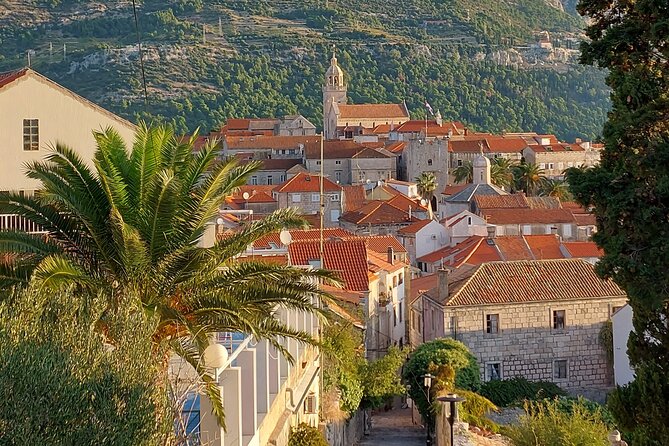 1 Hour Private Walking Tour in Korcula - Where to meet, where it ends, and how to plan the rest of your day