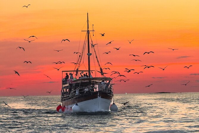 2-Hour Dolphin Guided Safari NP Brijuni from Fazana - Fažana, Brijuni, and the Dolphin-Spotting Advantage