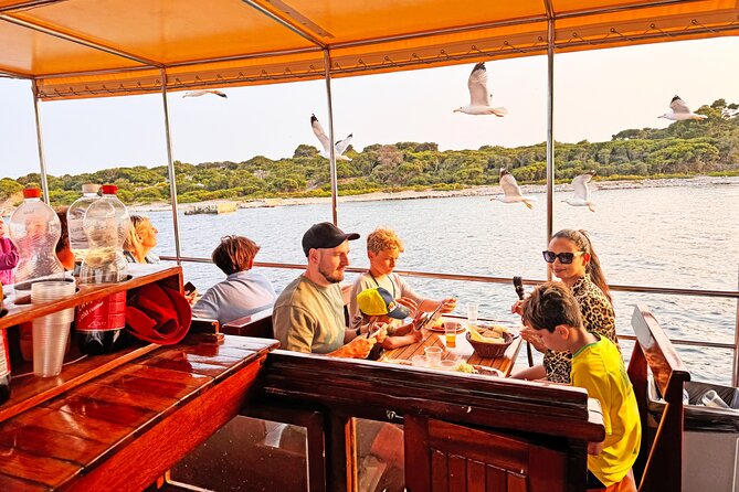 2-Hour Dolphin Guided Safari NP Brijuni from Fazana - What You’ll Do on the Water: Search, Stop, Watch