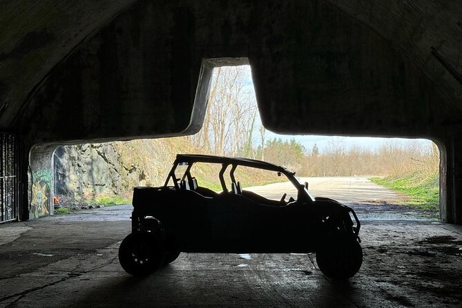 3,5 hours Guided Buggy Tour in Plitvice lakes - Guides, pace, and the small group advantage