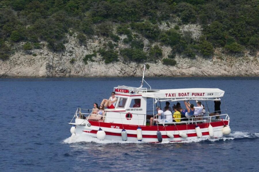 3,5h Wild Bays: Swim & Snorkel with Capt. Bobo (Public) - Key Points Worth Planning For