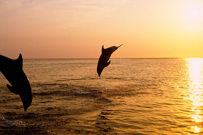 3hours all inclusive Sunset&Dolphin Tour from Medulin on Sandra - The route: panoramic Medulin archipelago to Kamenjak waters