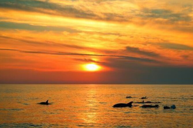 3hours all inclusive Sunset&Dolphin Tour from Medulin on Sandra - Dolphin spotting near Kamenjak National Park, with realistic odds