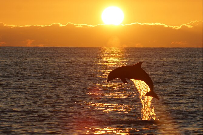 3hours all inclusive Sunset&Dolphin Tour from Medulin on Sandra - Timing, duration, and how to plan your evening