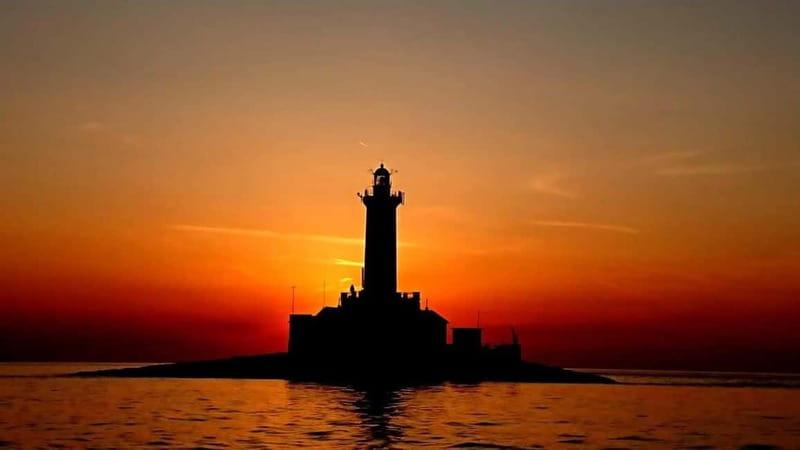 3hours Dolphin Sunset watching with unlimited drinks +dinner - What to bring so you enjoy every minute