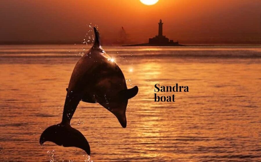 3hours Dolphin Sunset watching with unlimited drinks +dinner - Kamenjak Nature Park: the coast you came for