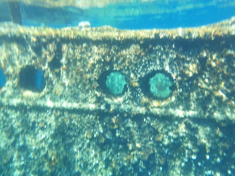 4 Jewels of Zadar, Dugi otok, sunken ship - Half day - Muline and Južna luka on Ugljan Island: Swim, Wander, Then Back On Board