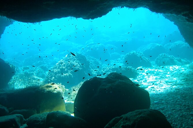 4h / 6h / 8h Elaphite Islands Tour with 7.5m/24FT SunDeck Boat - Lopud Island: Franciscan monastery and St. Mary church (about 1.5 hours)