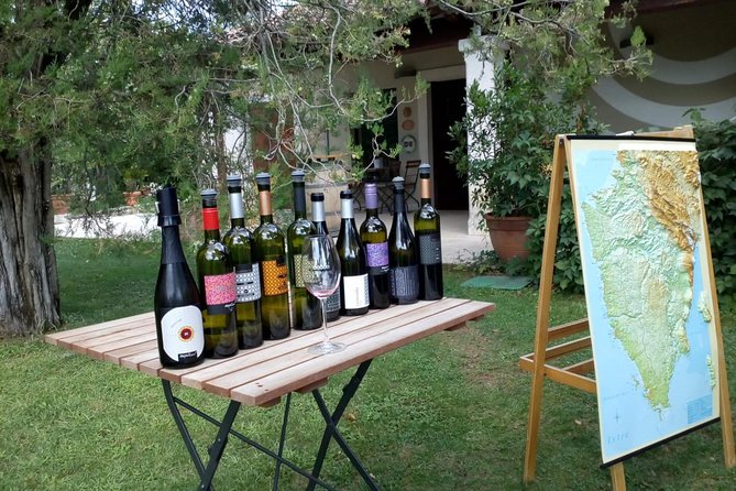 A Sample Of Wine, A Sample Of Istria - A Short But Fulfilled Program - Key points to know before you go