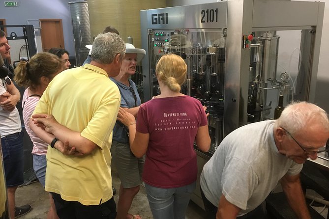 A Sample Of Wine, A Sample Of Istria - A Short But Fulfilled Program - Price and value: why $208.84 can be fair for the amount included
