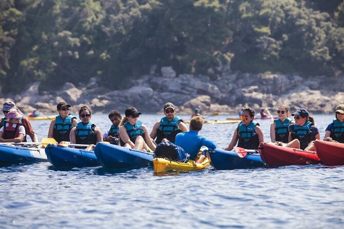 Afternoon Kayaking in Dubrovnik - Key things that make this Dubrovnik kayaking tour special