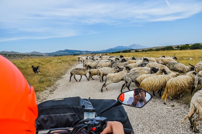 ATV Dinara Mountain tour with picnic - Cetina River canyon: the relaxing half that still feels wild