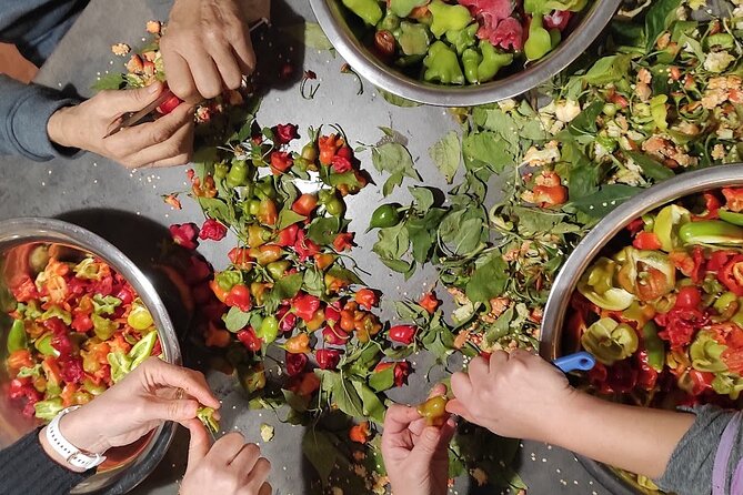 Authentic Garden to Table Cooking Class in Dubrovnik Countryside - Cooking lunch with what’s in season: skewer, chicken stew, and more