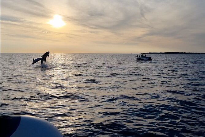Beautiful Sunset and Dolphin Watching - Fažana departure, Brijuni National Park area, and what you are really buying