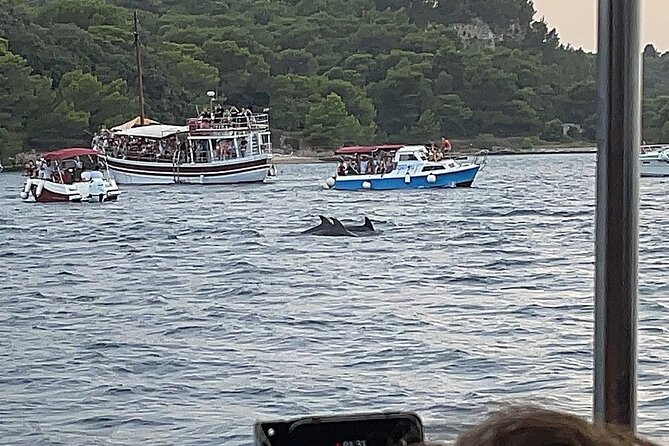Beautiful Sunset and Dolphin Watching - Sunset timing on the Adriatic Sea: camera-ready moments