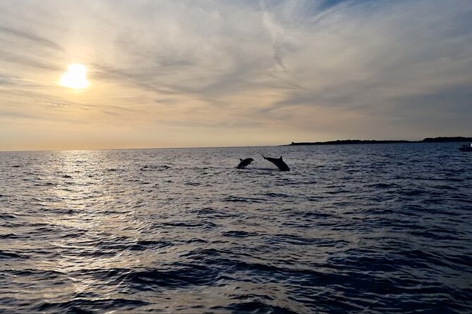 Beautiful Sunset and Dolphin Watching - What the Brijuni National Park stop feels like from the water