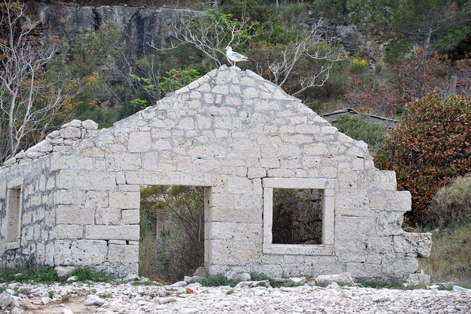 Bits of History - Half day kayak Tour with Wine delight - Remote beaches and sea swims: what you should expect