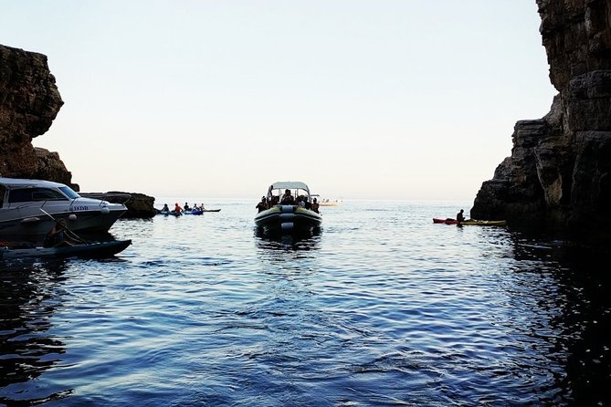 Blue Cave | 5-Hour Afternoon Sea Safari - Beach Time on Lopud and Šunj: Where You Recharge, Not Just Transit