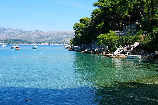Blue Cave and caves Discovery Dubrovnik - Group Tour by Boat - The Blue Cave: light, color, and the swimming challenge