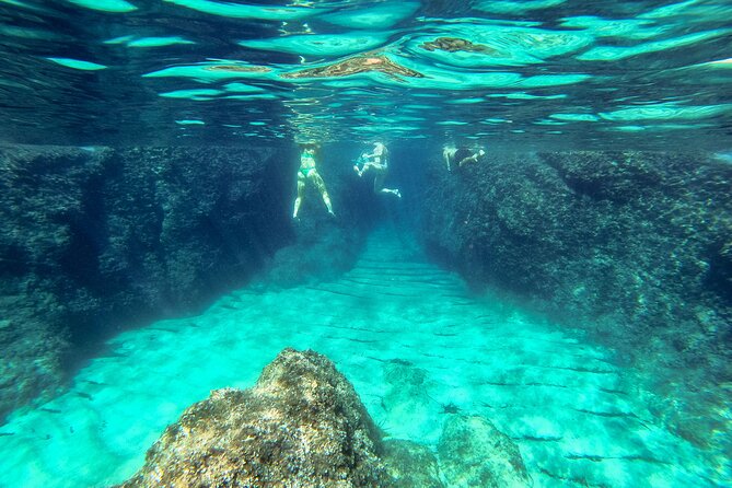 Blue Cave, Green Cave & Lopud Beach small group Speed boat Tour - Drinks and Snorkel Gear: Where the Money Actually Goes
