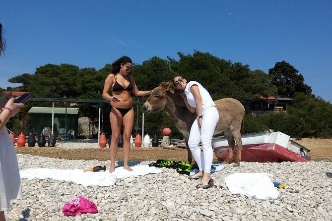 Blue Cave, Hvar and Five islands - Small-Group Tour From Split - Green Cave in Low Season: Why It Might Be Included