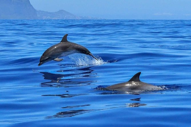 BLUE LAGON & 3 islands full day private speedboat tour - Key highlights worth planning for