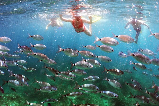 BOAT & KAYAK! Sea Adventure - Snorkeling & Cliff Jumps - Key Things You’ll Notice On This Pula Sea Adventure