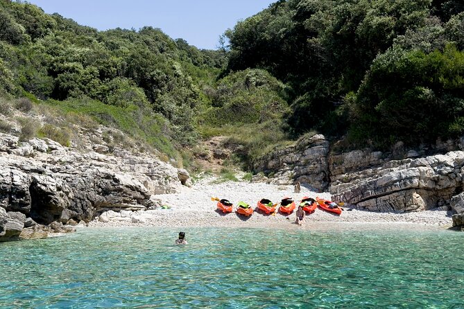 BOAT & KAYAK! Sea Adventure - Snorkeling & Cliff Jumps - Cliff Jumping at the Sea: Optional Thrill, Real Safety Focus