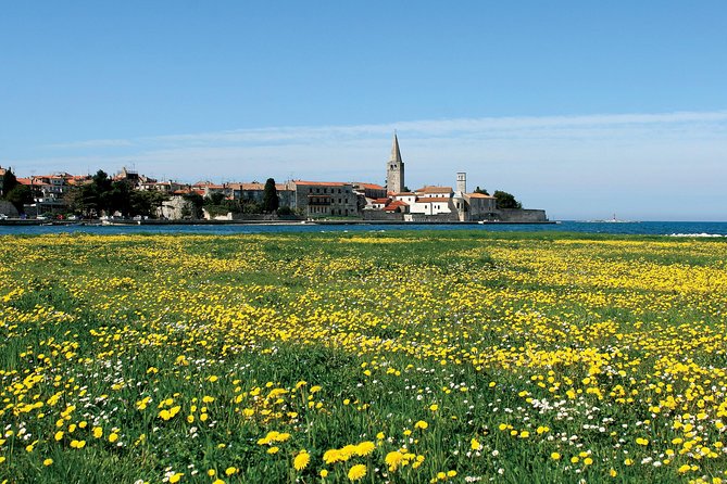Boat trip to Rovinj and Vrsar from Poreč with lunch - Vrsar Marina Break: Walking Time and a Cool-Off Plan
