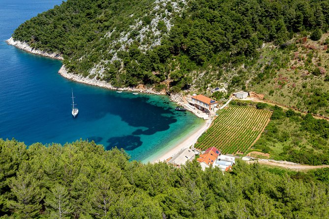 Brac, Hvar, & Solta Day Trip: Snorkeling, Wine & Lunch from Split - Wine Tasting and Lunch at a Fisherman Bay