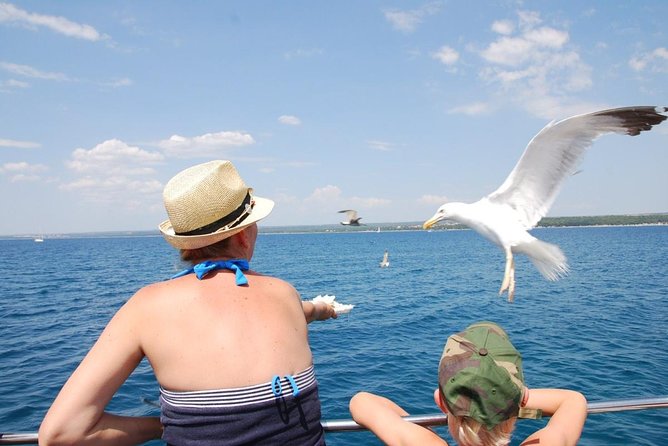 Brijuni National Park Boat Excursion from Pula. With a visit to the island - St Jerolim island: swimming paradise, with a couple of real limits