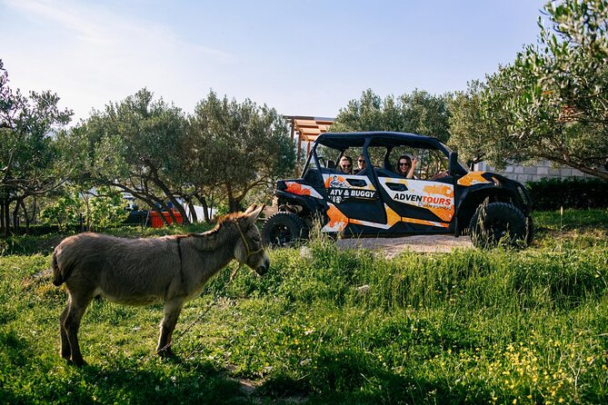 Buggy Dubrovnik Safari Tour (Private) - Strinčjera at 400 meters: views and an Austrian purpose