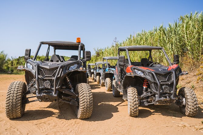 Buggy Safari With Wine Tasting - Winery Adria tasting: wine, liqueur, jam, honey, sweets, and olive oil