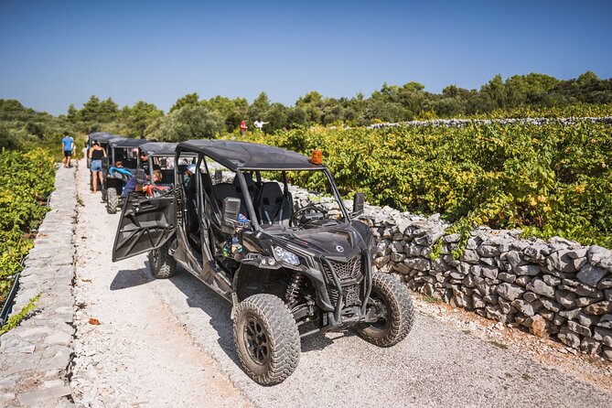 Buggy Safari With Wine Tasting - Getting started at Korkyra InfoTrg Petra Šegedin, then learning the buggy routine