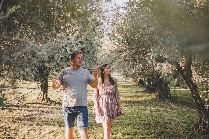 Buje: Authentic Istrian family farm, guided walk, foods & wine - Arriving at Olivo Istriano in Buje: small-group, local, and easy to find