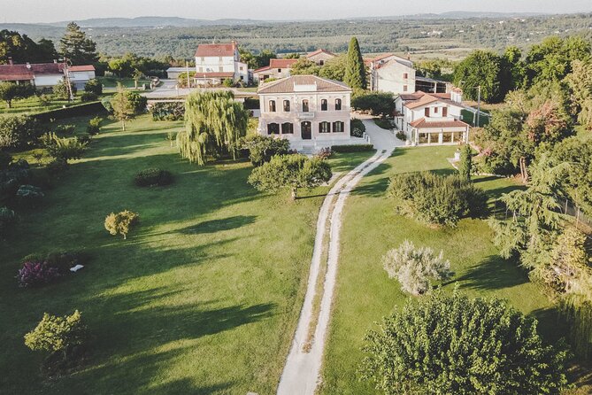 Buje: Authentic Istrian family farm, guided walk, foods & wine - From olive grove to cellar: how extra virgin olive oil is made