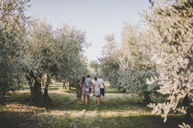 Buje: Authentic Istrian family farm, guided walk, foods & wine - Timing, comfort, and what to pack for a good 2 hours