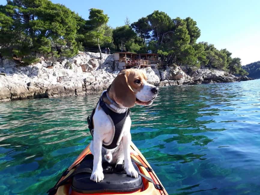 Cavtat: 'Pomalo' Guided Sea Kayaking Tour - Key things I’d watch for before you go