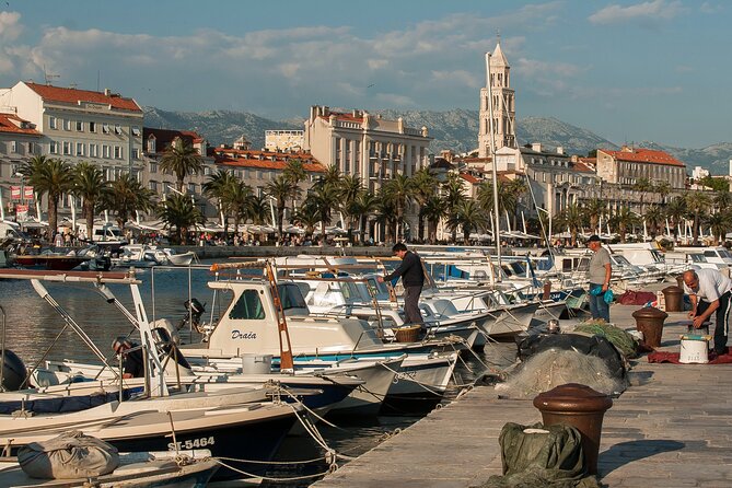 City Bike Tour of Split - Marjan Park: Pine Shade, Viewpoints, and That Climb You Will Remember