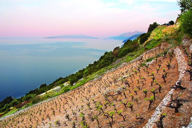 Classic Tour with Wine Tastings from Dubrovnik - Peljesac Peninsula, the easy way to experience Croatian wine