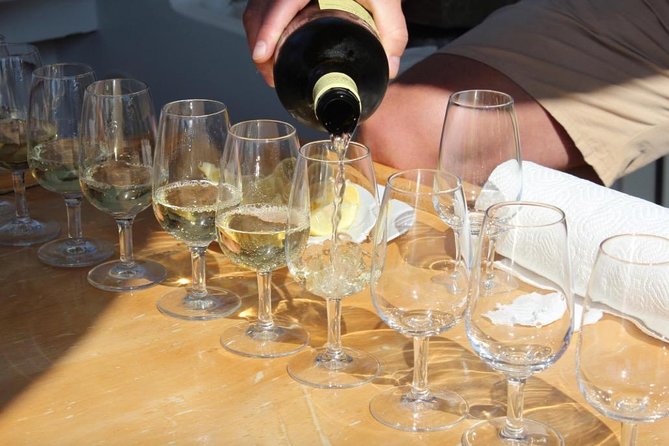 Classic Tour with Wine Tastings from Dubrovnik - Peljesac sights with Ston walls and the salt story