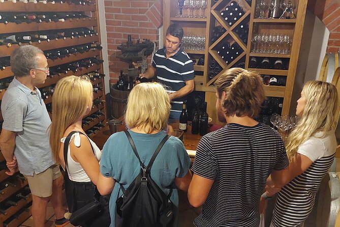 Classic Tour with Wine Tastings from Dubrovnik - How the itinerary fits together in real life