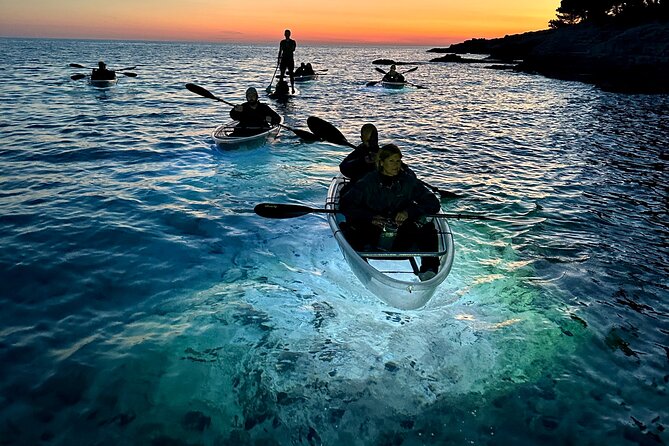 Clear Kayak Glow Night Tour - Guides who make beginners feel secure