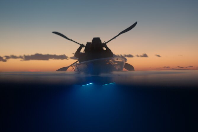 Clear Kayak Glow Night Tour - What you actually see: fluorescent light and underwater life
