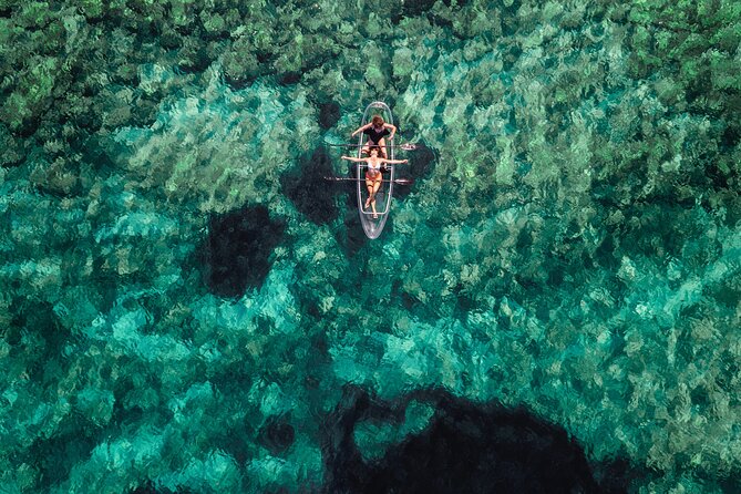 Clear Kayak Tour to Canyon, Island Cliffs & small Cave - How the Clear-Bottom Experience Works (and How You’ll See Fish)