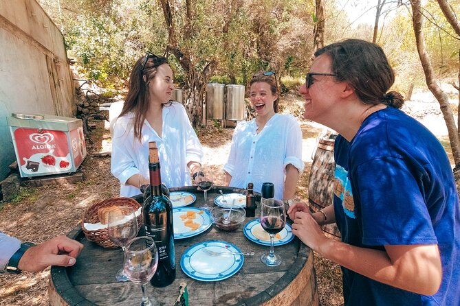 Coastal Vineyards: A Dream Wine Tour to Elaphiti Islands - Key Highlights You’ll Actually Feel