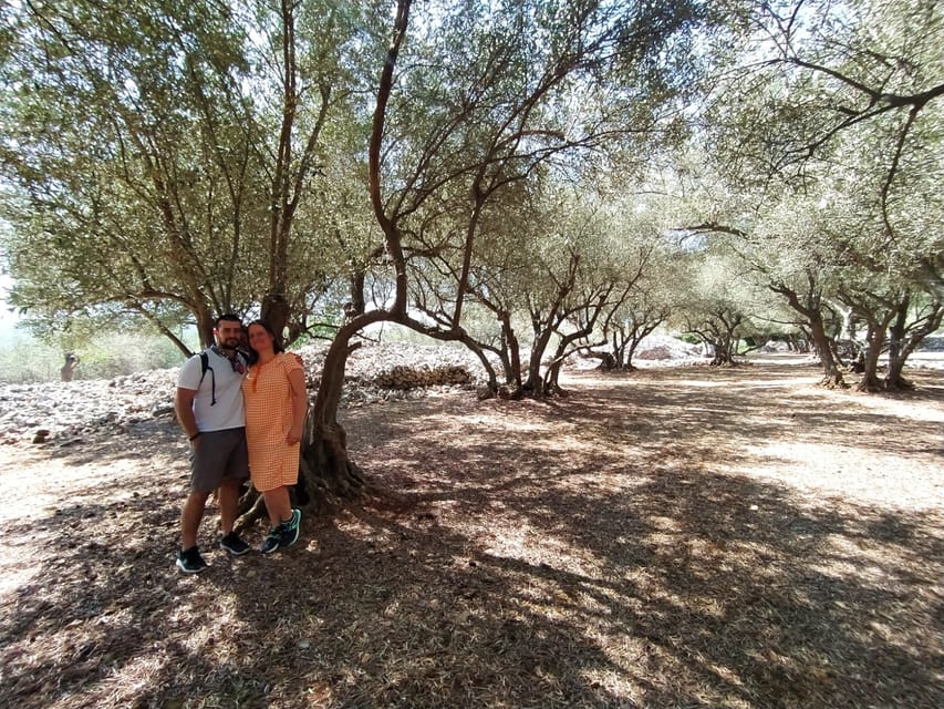 Cres: Olive Oil Walking Tour with Tastings - Price and value: what $47 buys you in real time
