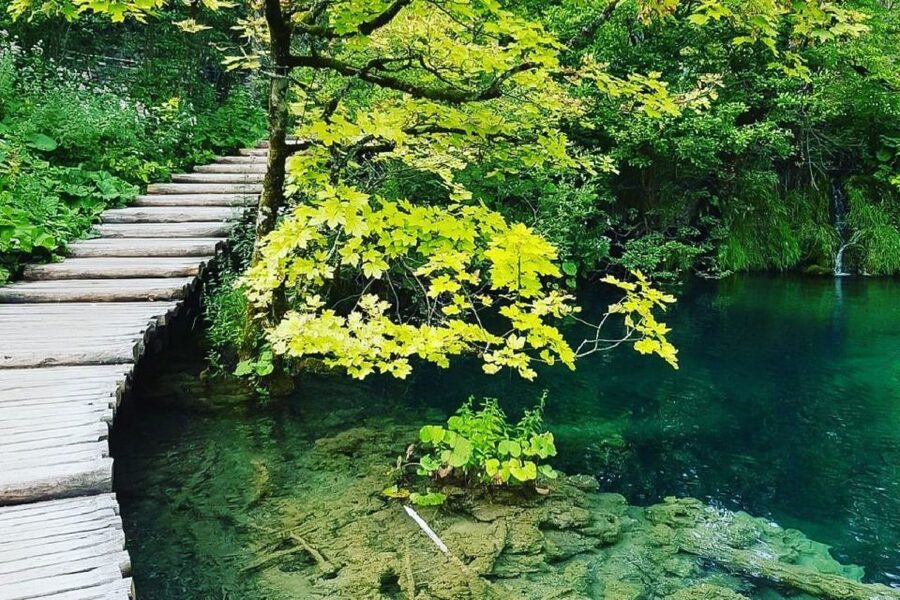 Croatia: Plitvice Lakes Private Tour with Hotel Pickup - Panoramic boat on Kozjak and the trip to upper Plitvice