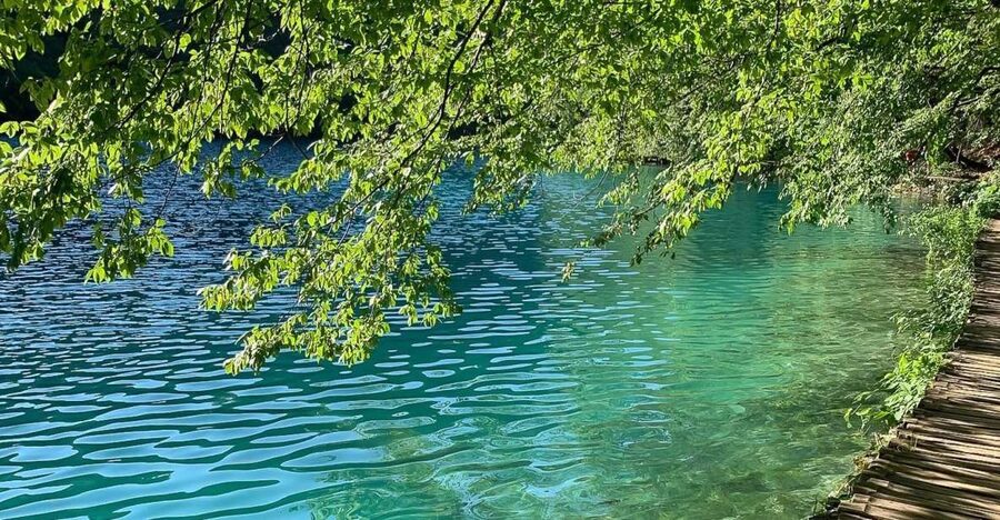 Croatia: Plitvice Lakes Private Tour with Hotel Pickup - Entering Plitvice Lakes with a guide who helps you move smarter
