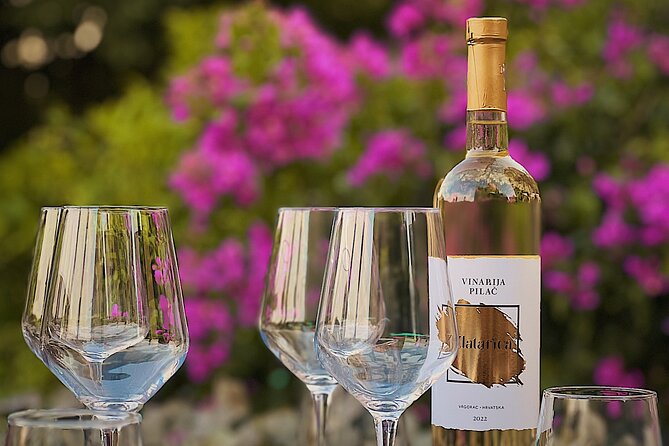 Dalmatian wine tasting by Bottiglia wine & deli - Price and value: $54.07 for wine, food, and real guidance